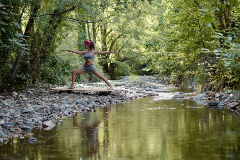 yoga vinyasa - yoga flow